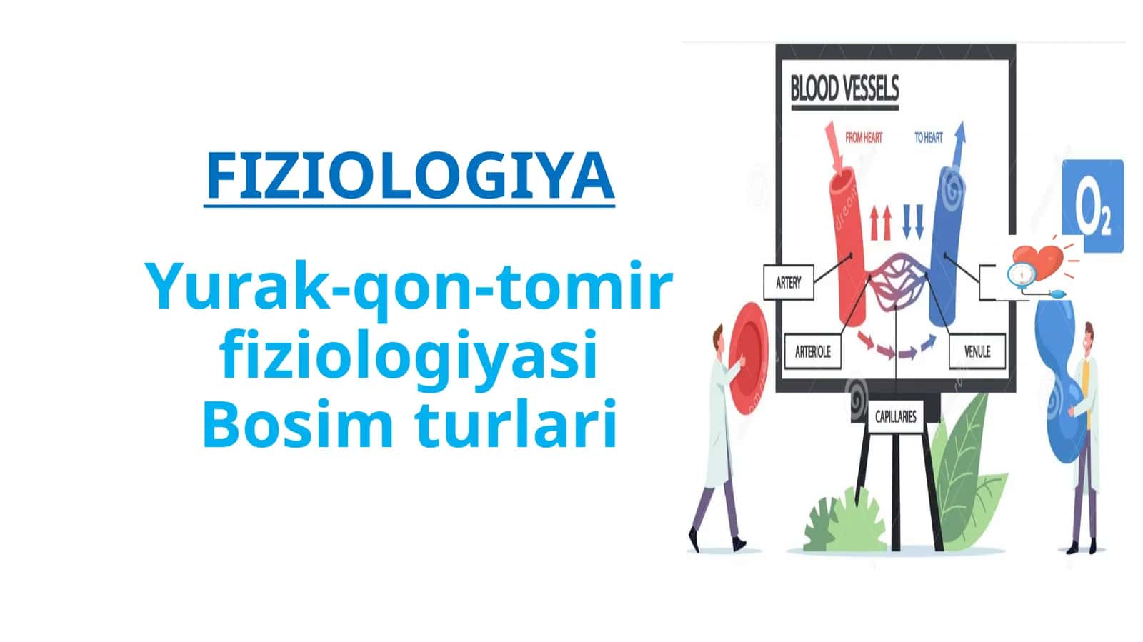 Yurak-qon-tomirfiziologiyasi Bosimturlari
