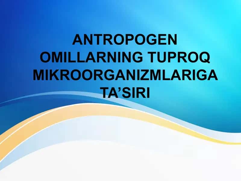 ANTROPOGEN OMILLARNING TUPROQ MIKROORGANIZMLARIGA TA’SIRI