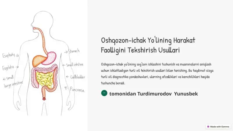 Oshqozon-ichak Yo'lining Harakat Faolligini Tekshirish Usullari