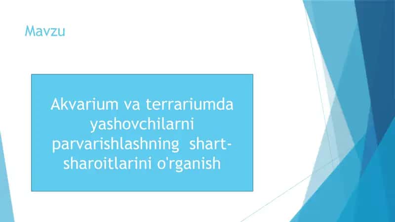 Akvarium va terrarumda yashovchilarni parvarishlashning shart-sharoitlarni.