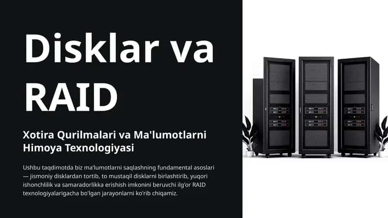 Disklar va RAID