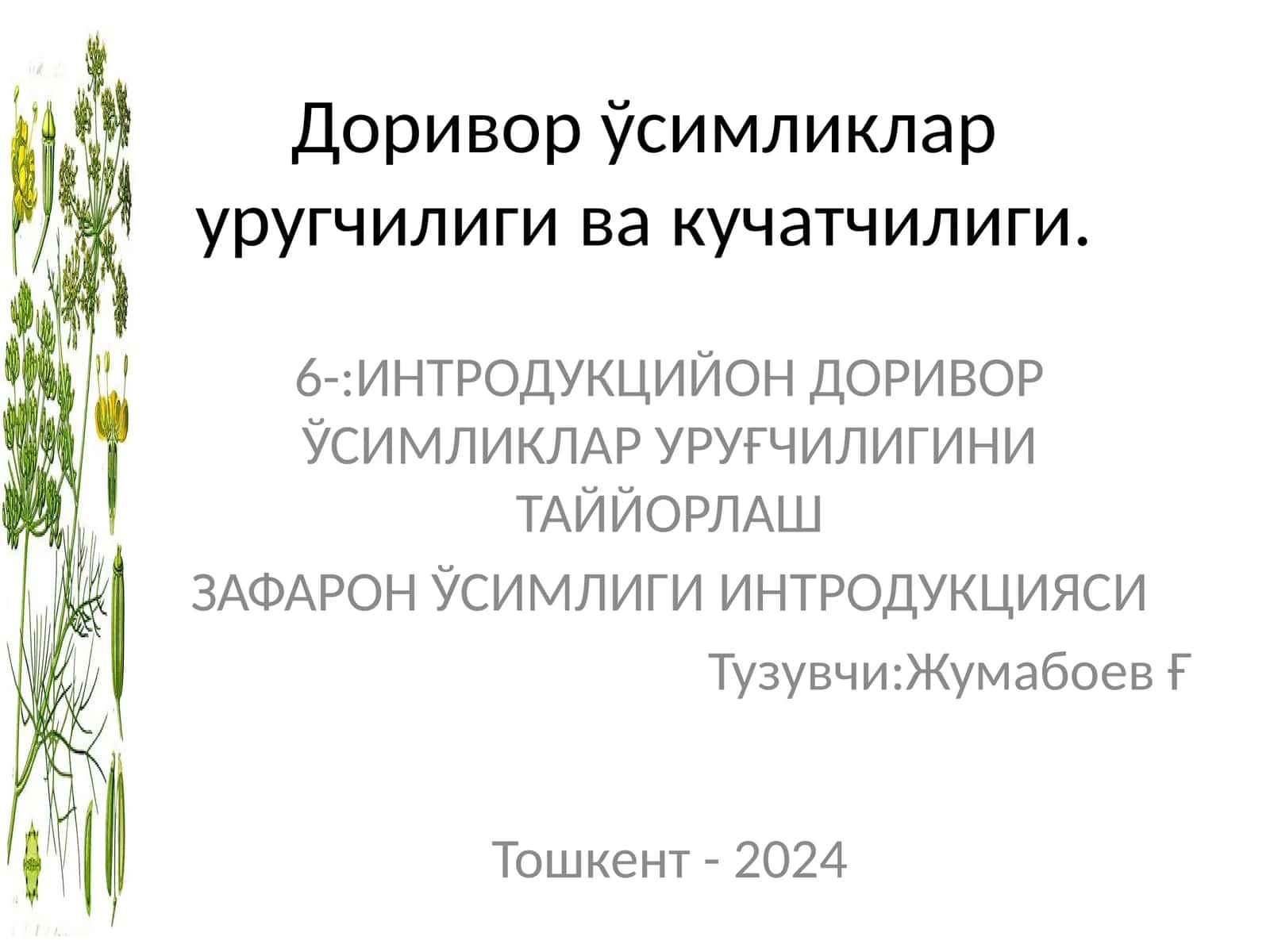 ЗАФАРОН ЎСИМЛИГИ ИНТРОДУКЦИЯСИ