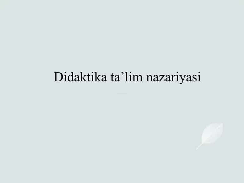 Didaktika ta’lim nazariyasi