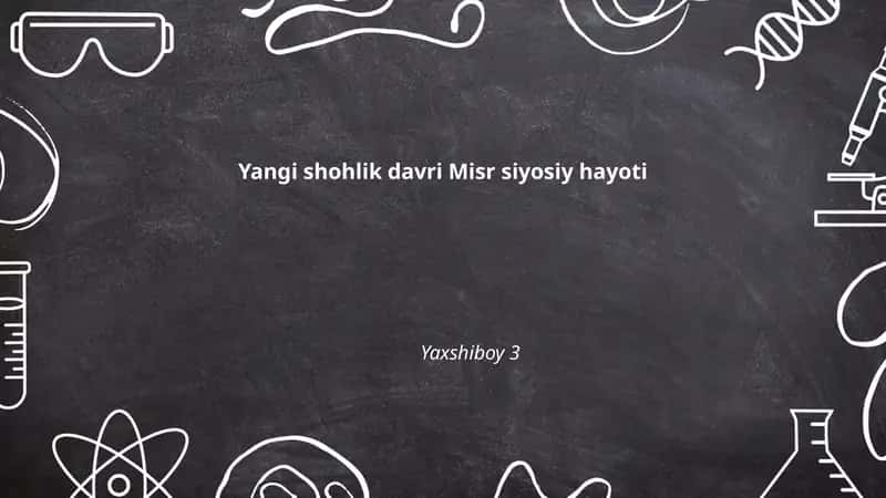 Yangi shohlik davri Misr siyosiy hayoti