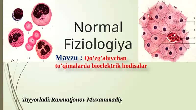 Qozg'aluvchanlik
