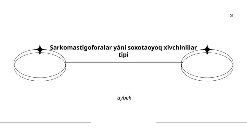 Sarkomastigoforalar yáni soxotaoyoq xivchinlilar tipi