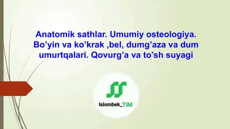 Anatomik sathlar.Umumiy osteologiya.Bo’yin va ko’krak ,bel, dumg’aza va dum umurtqalari.Qovurg’a va to’sh suyagi
