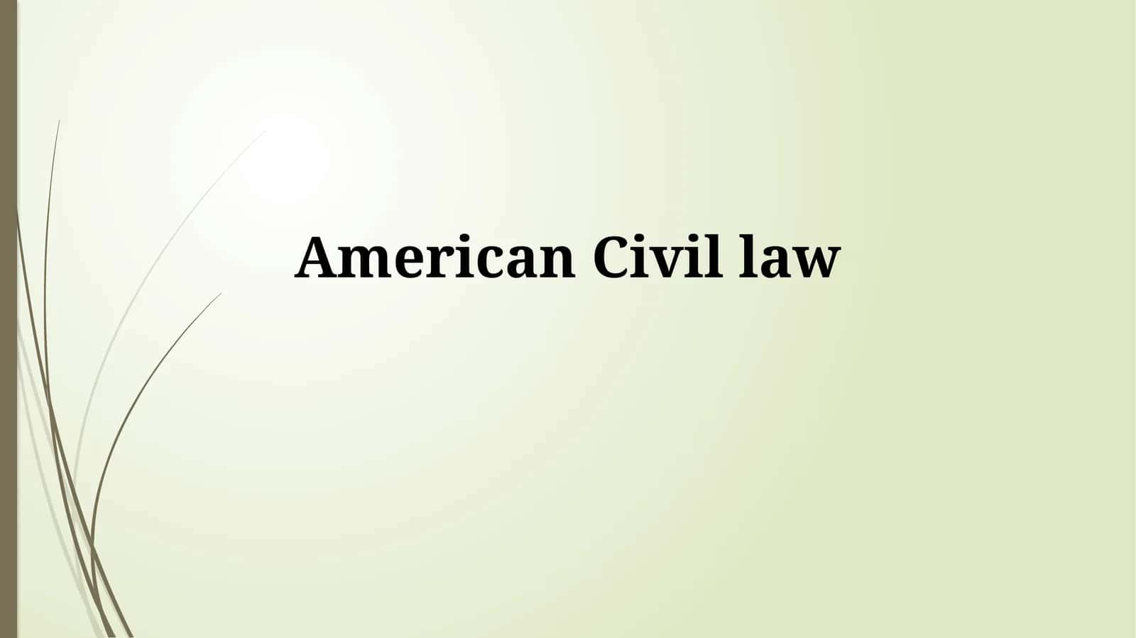 Key Features of American Civil Law