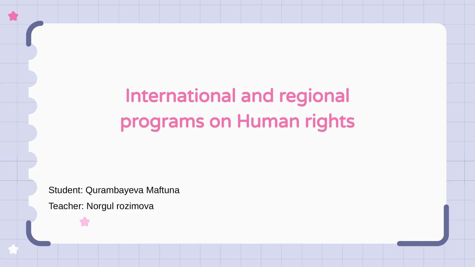 International and regional programs on Human rights