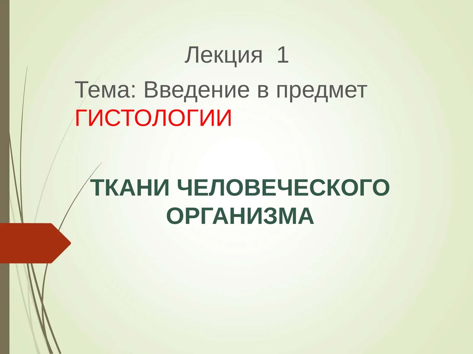Введение в предмет ГИСТОЛОГИИ