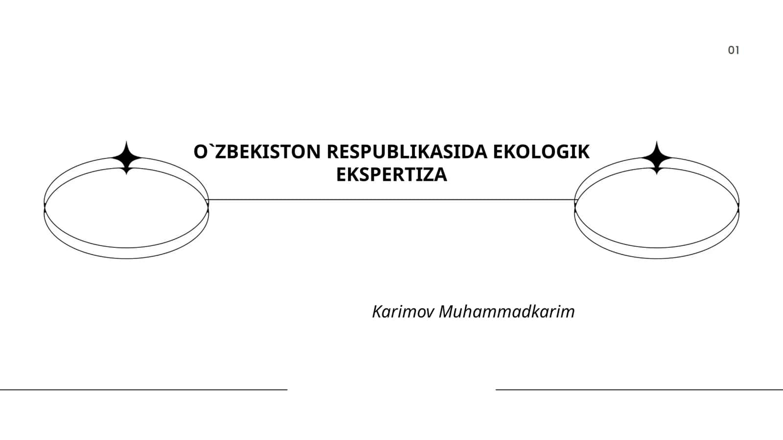Ekologik Ekspertiza