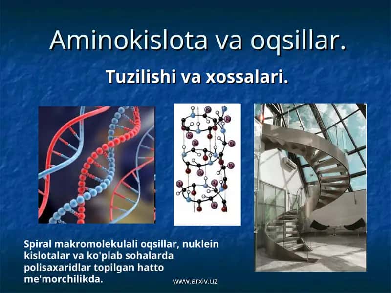 Aminokislota va oqsillar