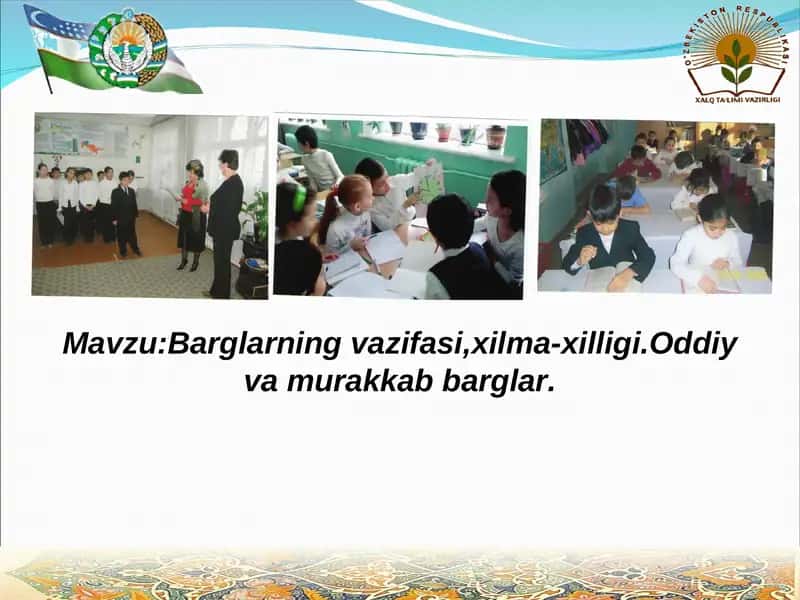 Barglarning vazifasi,xilma-xilligi.Oddiy va murakkab barglar.