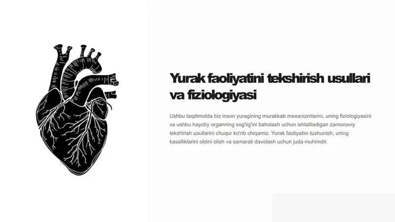 yurak faoliyatini tekshirish usullari. Yurak fiziologiyasi
