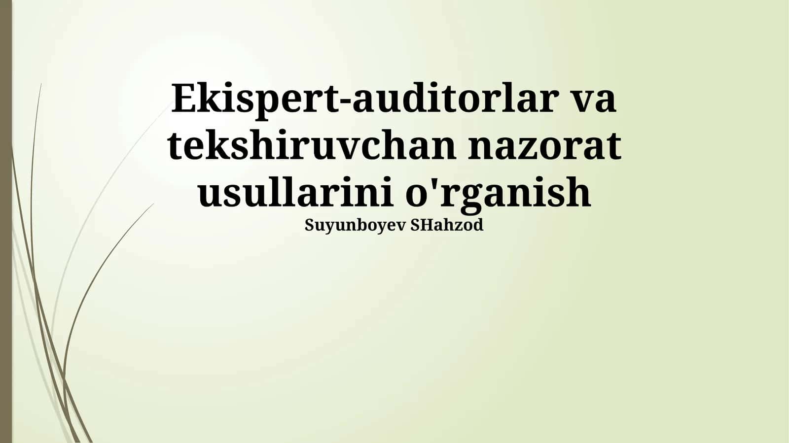 Ekispert-auditorlar va tekshiruvchan nazorat usullarini o'rganish