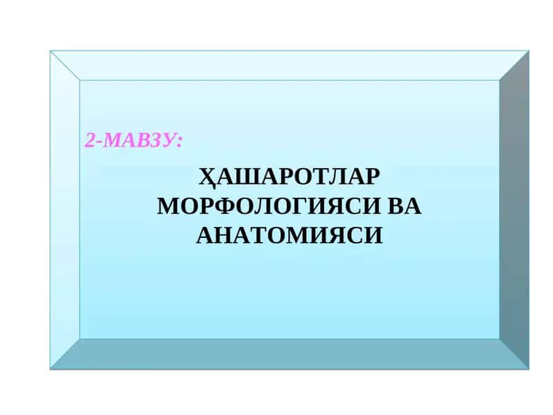 Ҳашаротлар морфологияси ва анатомияси