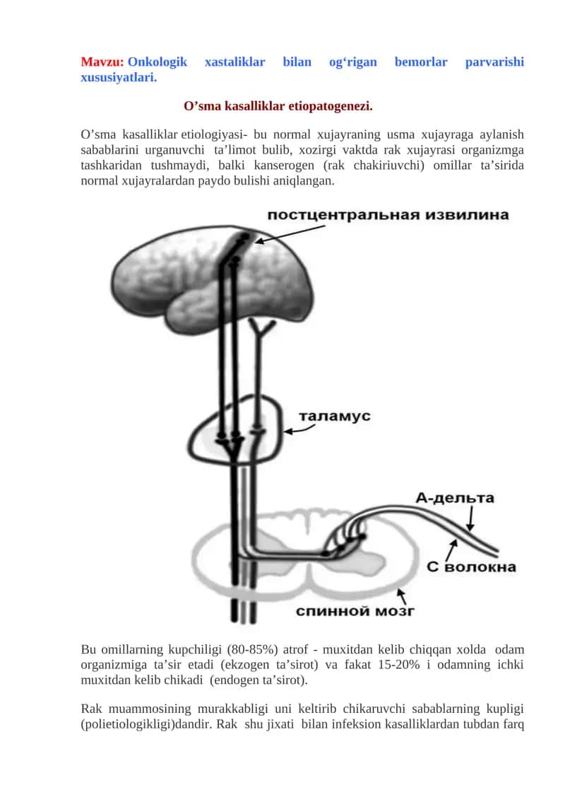 Onkologik xastaliklar bilan og‘rigan bemorlar parvarishi xususiyatlari