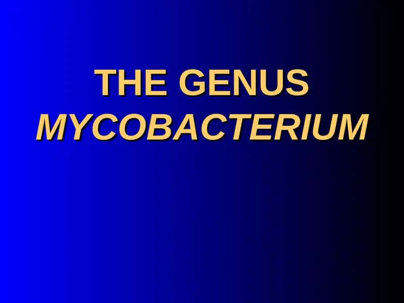 Mycobacterium tuberculosis