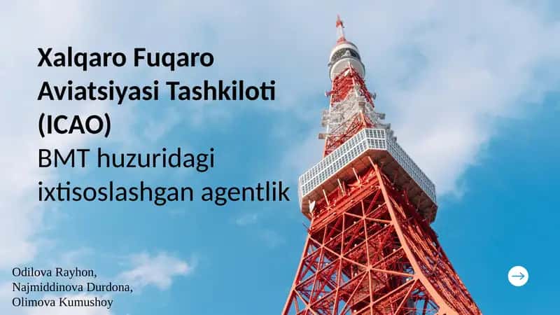 Xalqaro Fuqaro Aviatsiyasi Tashkiloti(ICAO)