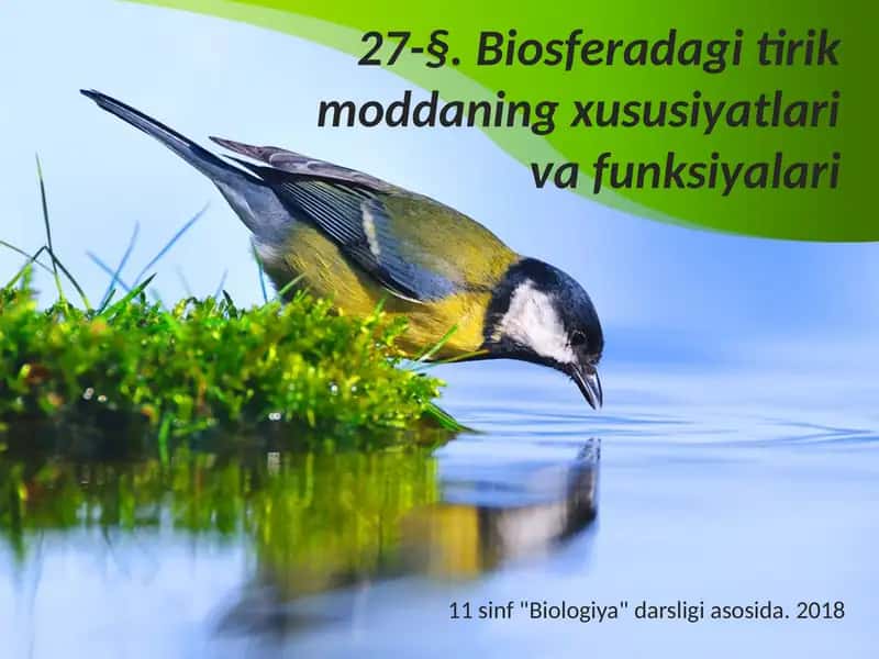 Biosferadagi tirik moddaning xususiyatlari va funksiyalari