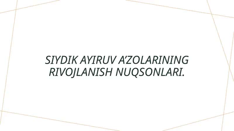 Siydik ayiruv a’zolarining rivojlanish nuqsonlari