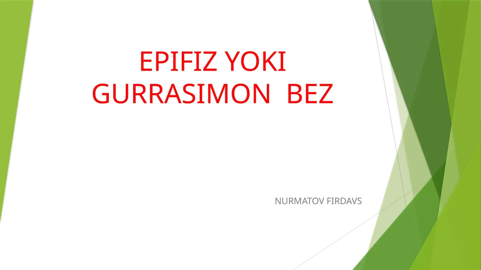 EPIFIZ YOKI GURRASIMON BEZ