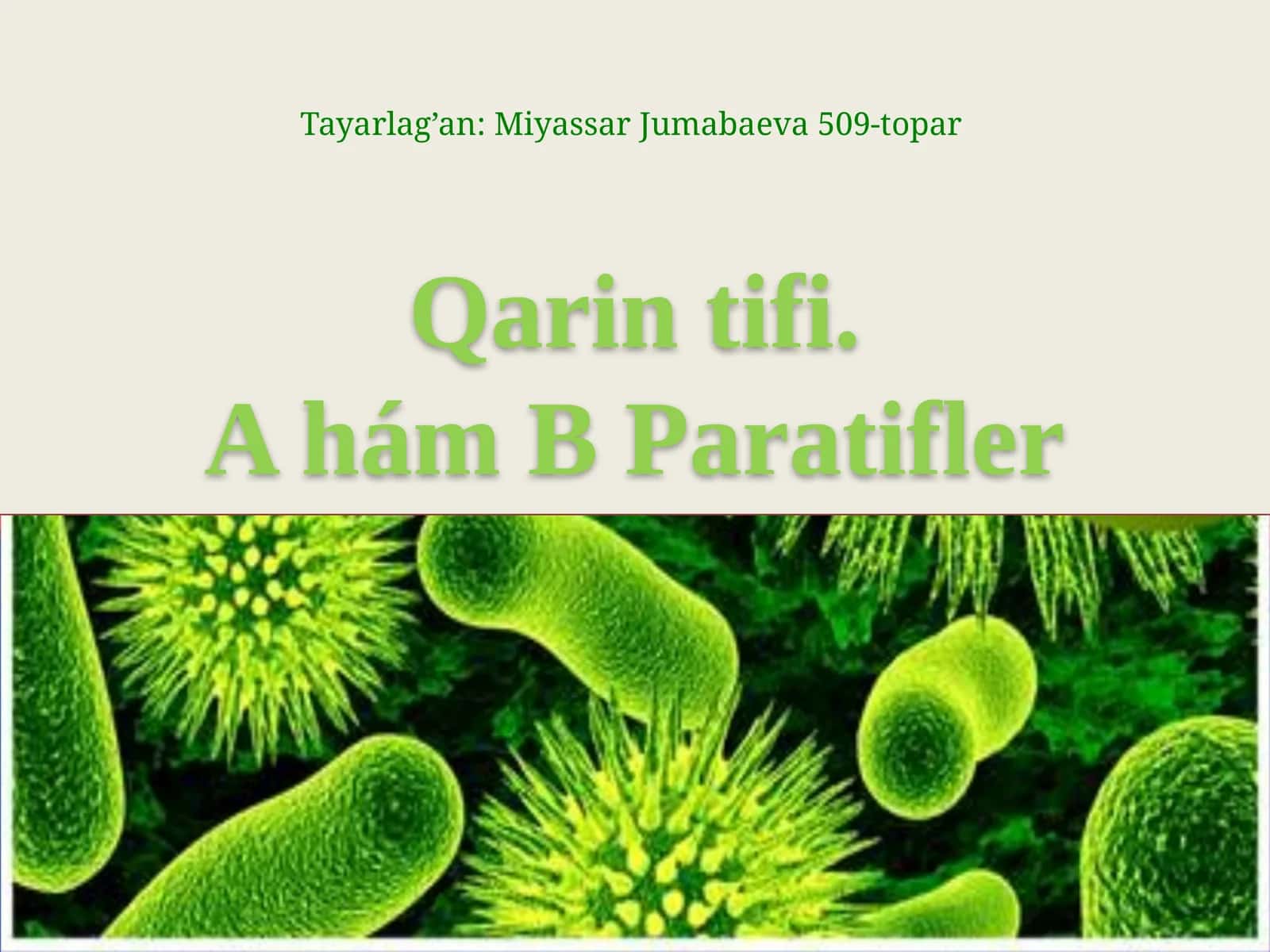 Qarintifi.A hám BParatifler