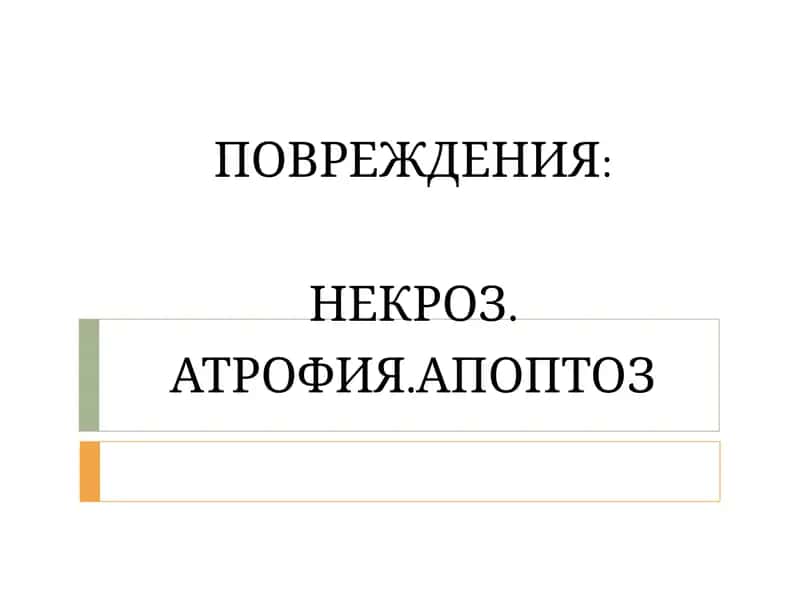 Некроз, Атрофия, Апоптоз