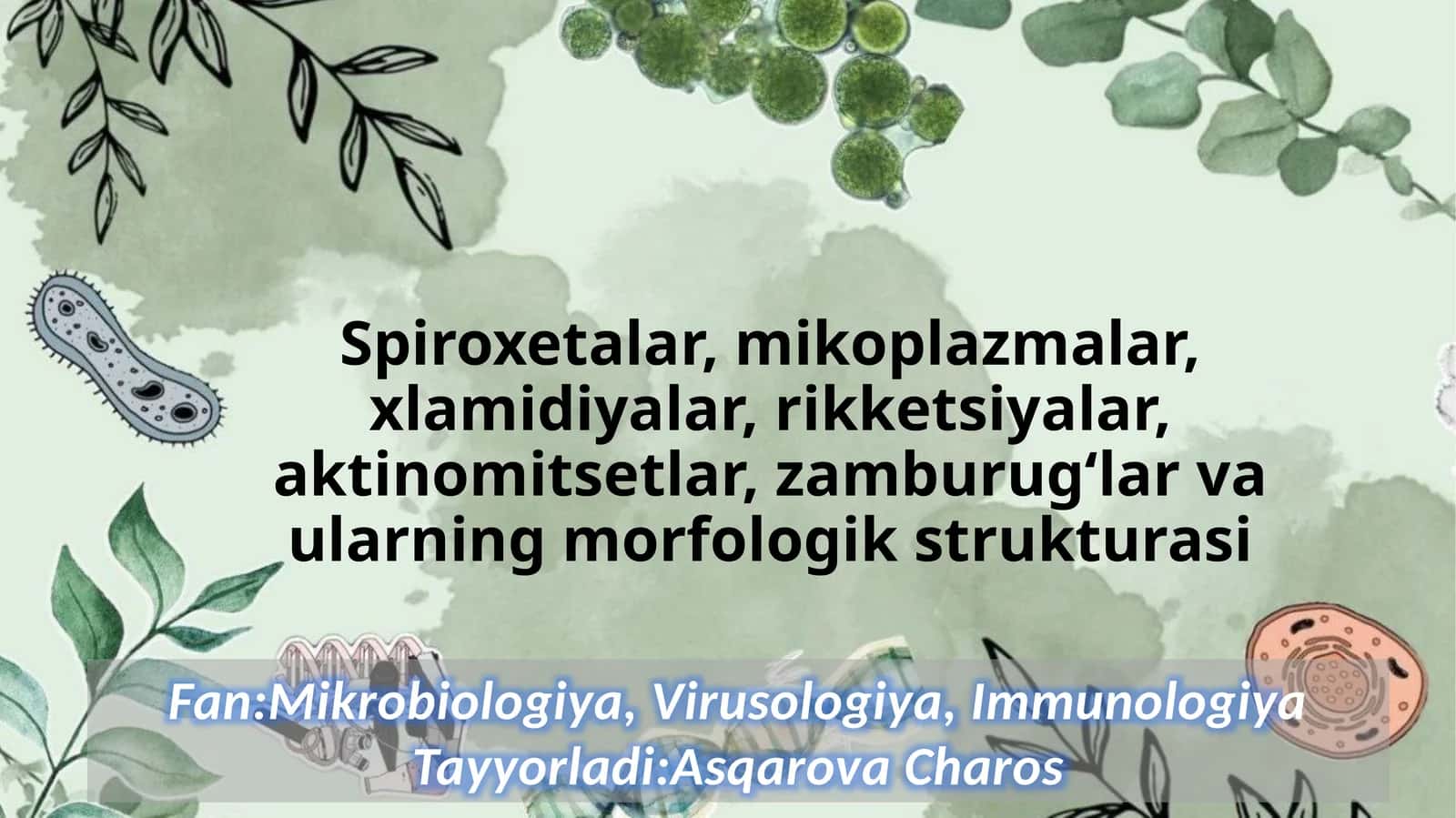 Spiroxitalar rekketsiyalar mikroplazmalar xlamidiyalar aktinomisyetlar va ularning morfologik strukturasi
