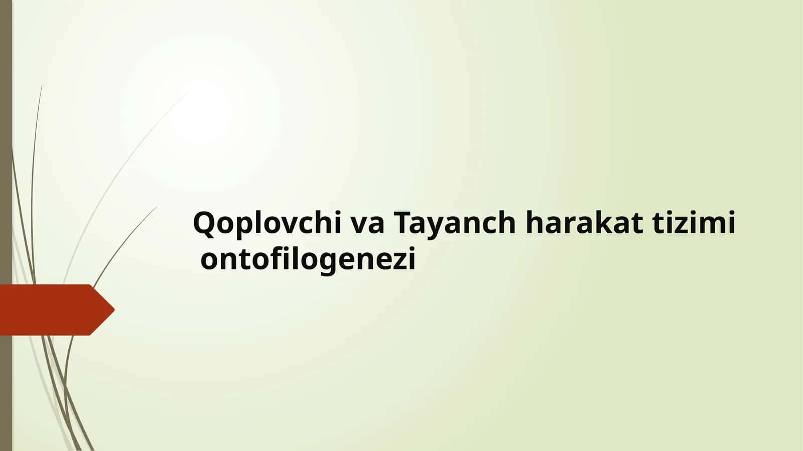 Qoplovchiva Tayanch harakat tizimi ontofilogenezi