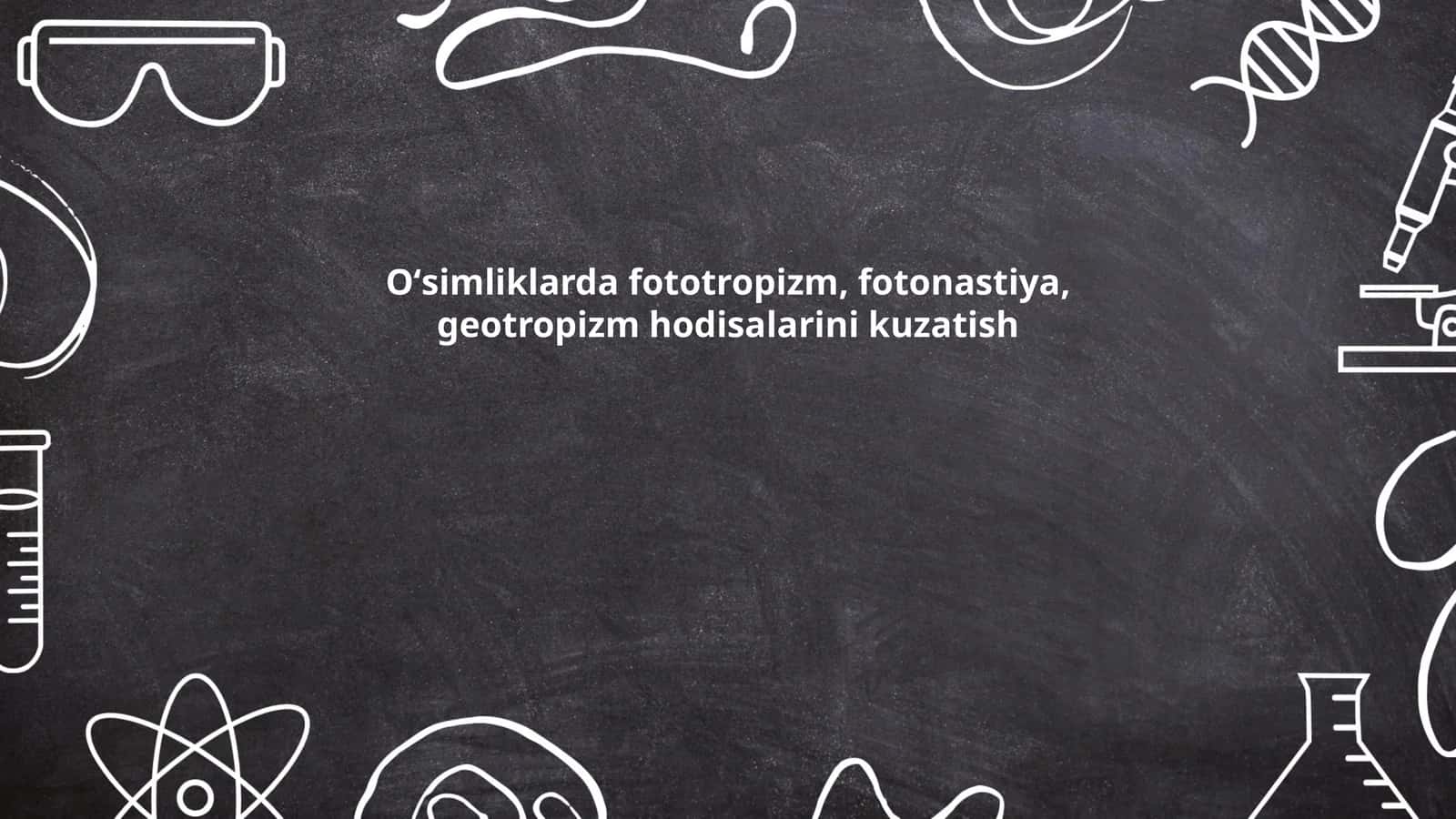 Fototropizmning biologik ahamiyati
