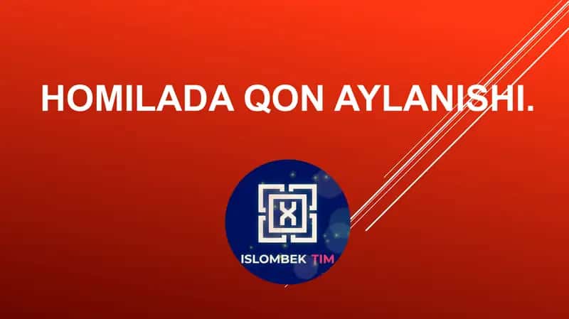Homilada qon aylanishi