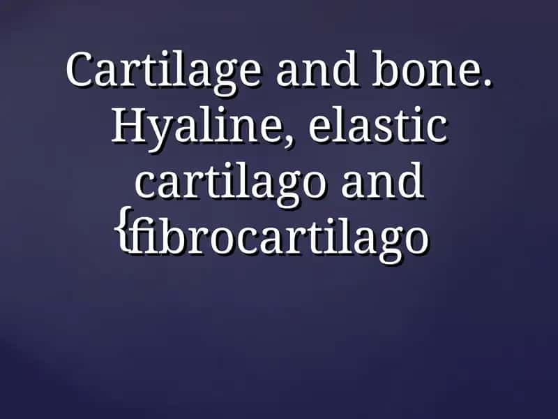 Types of Cartilage