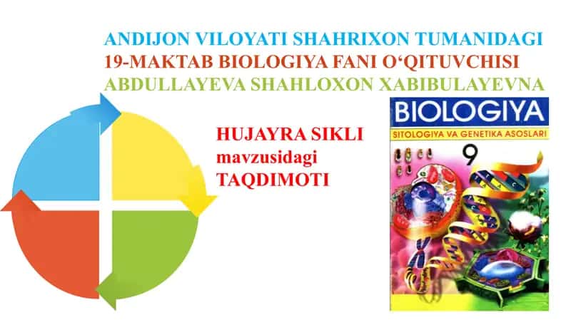 Hujayra sikli taqdimoti