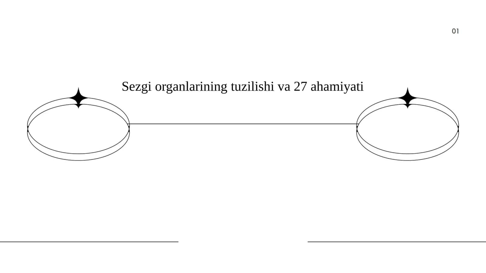 Sezgi organlarining ahamiyati