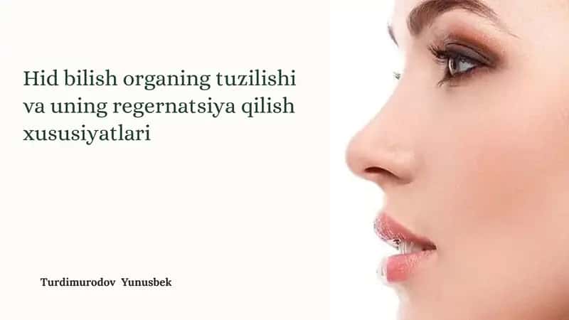 Hid Bilish Organining Tuzilishi