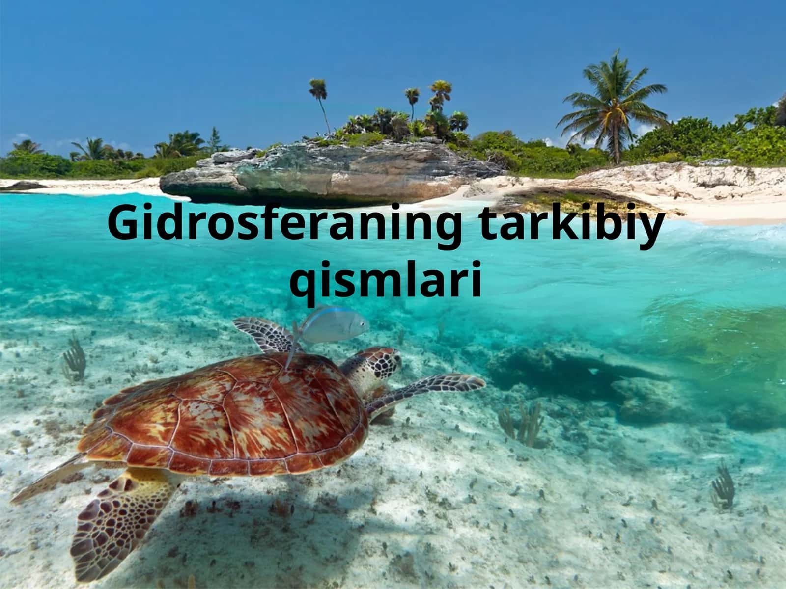 Gidrosferaning tarkibiy qismlari