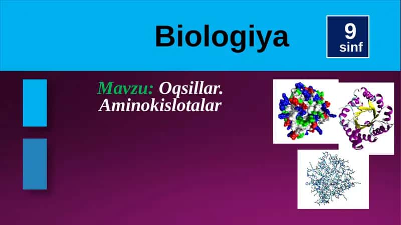 Oqsillar