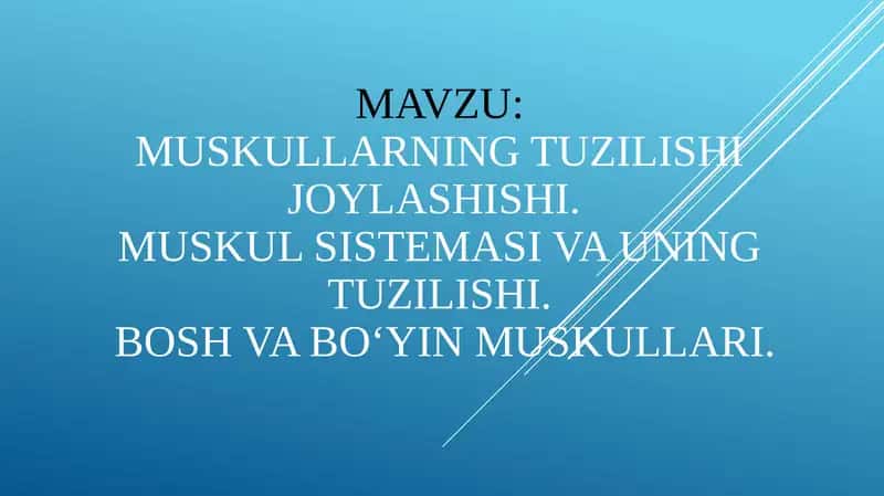 Muskullarning tuzilishi