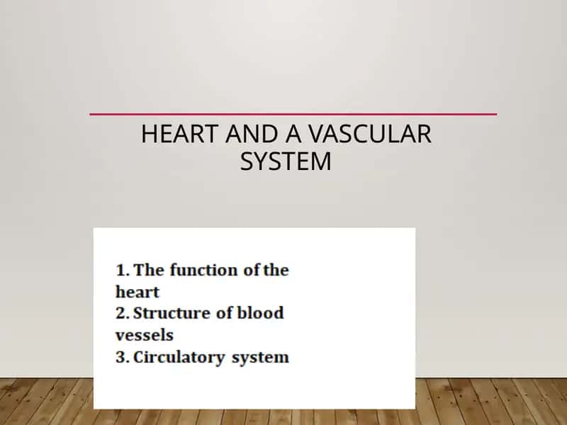 Heart and a vascular system