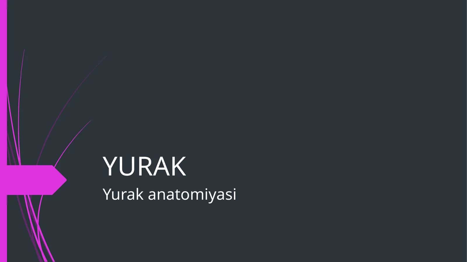Yurak