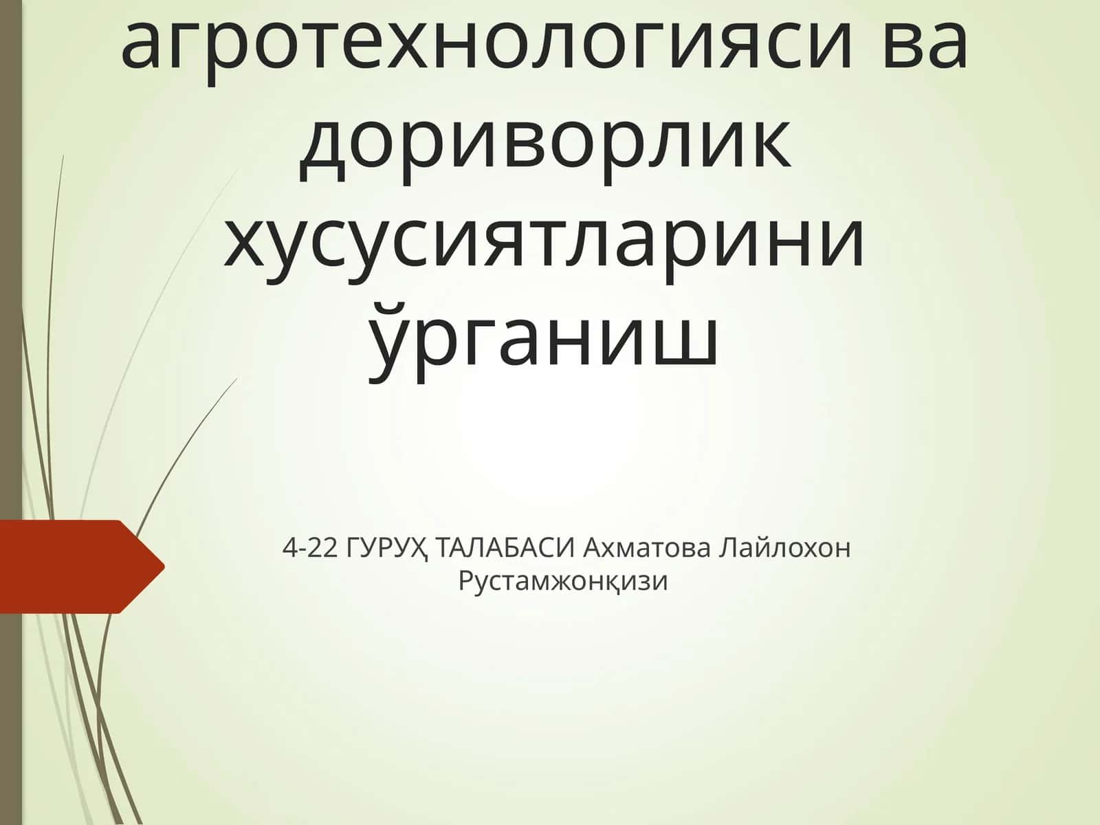 Доривор мойчечак(Matricaria recutita L) ўсимлигининг агротехнологияси ва дориворлик хусусиятларини ўрганиш