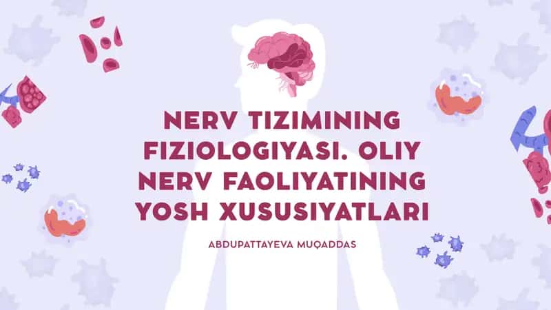 Nerv tizimining fiziologiyasi. Oliy nerv faoliyating yosh xususiyatlari