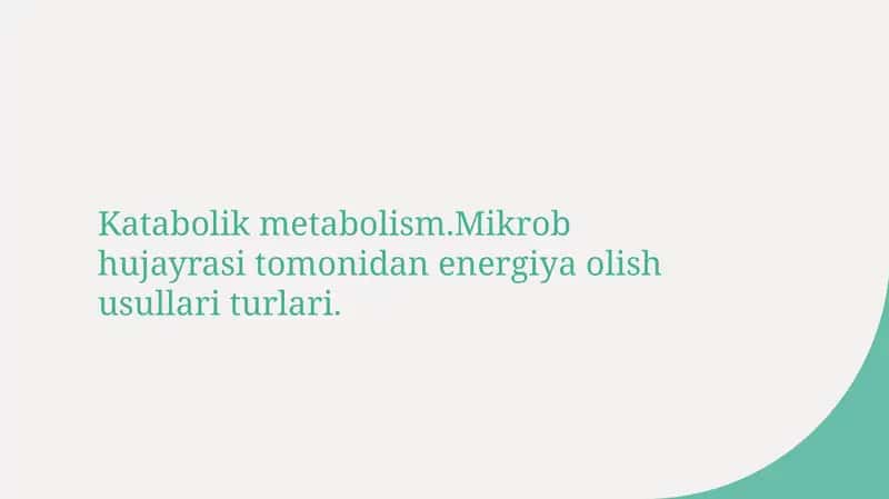 Katabolik metabolizm