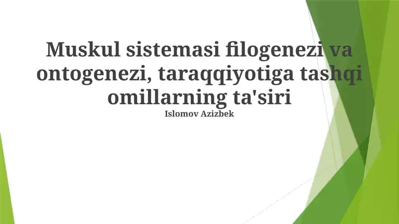 Muskul sistemasi filogenezi va ontogenezi, taraqqiyotiga tashqi omillarning ta'siri