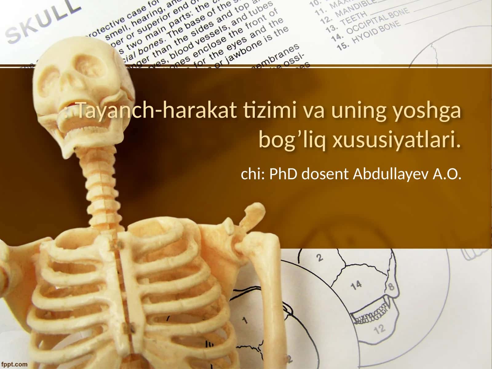 Tayanch-harakat tizimi va uning yoshga bog’liq xususiyatlari