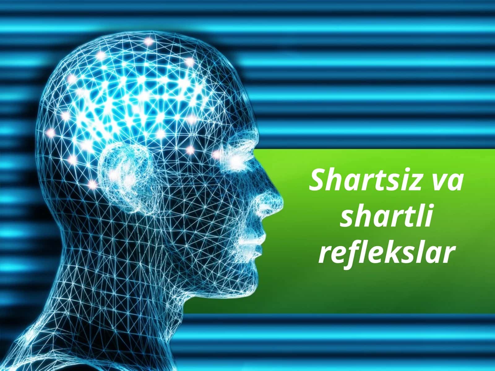 Shartsiz va shartli reflekslar