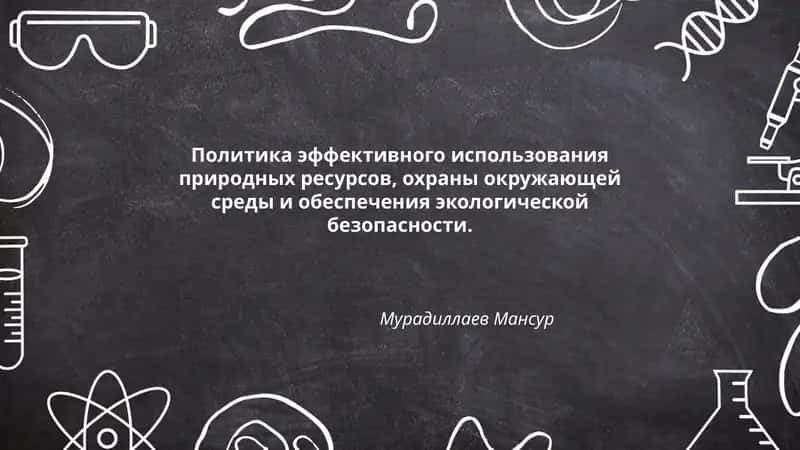 Политика эффективного использования природных ресурсов, охраны окружающей среды и обеспечения экологической безопасности