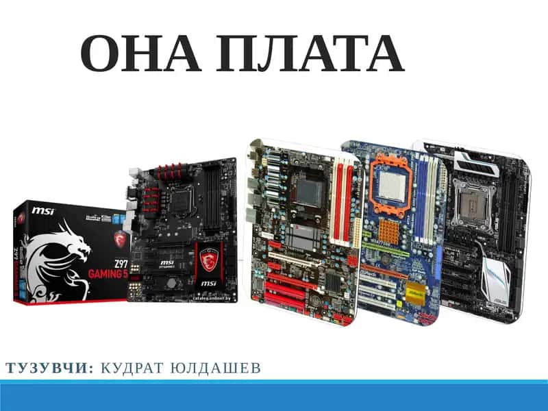 ОНА ПЛАТА