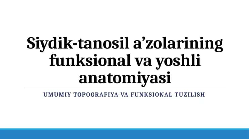 Siydik-tanosila'zolarining funksional vayoshlianatomiyasi